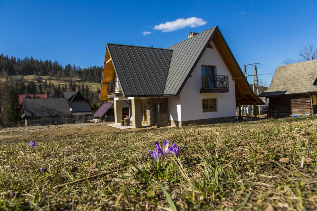 Willa Pod Wierzbami Poronin Exterior photo